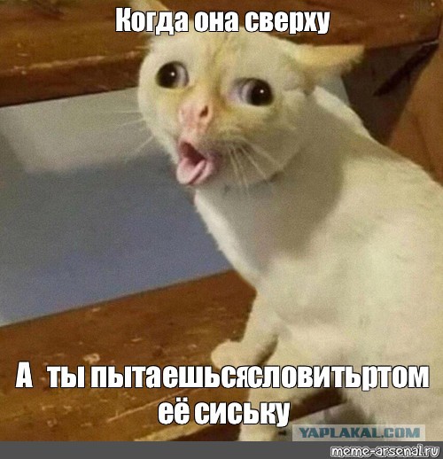 Неухоженные женщины