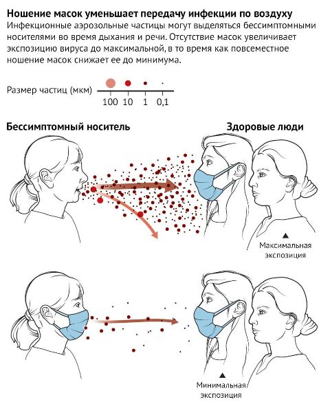 У вирусов есть сознание? Что известно науке об их удивительном поведении