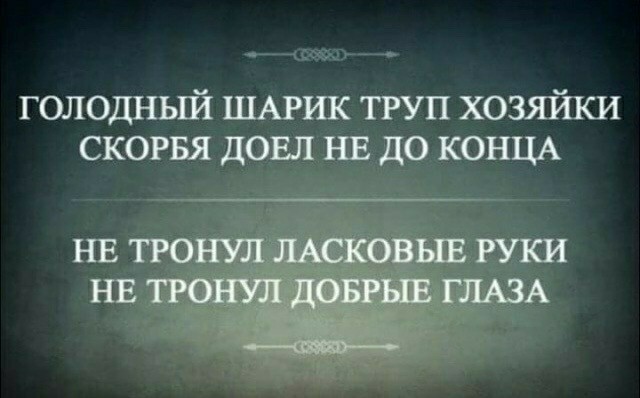 Вот вам новая порция аморального юмора 18+