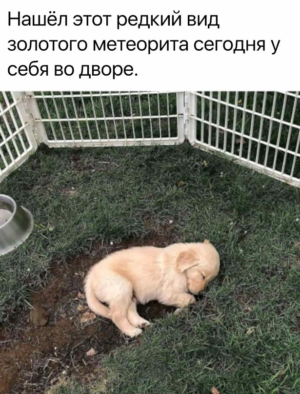 Картинки и мемы для настроения 29.09.2021