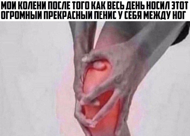 Весёлый полтишок 25.10