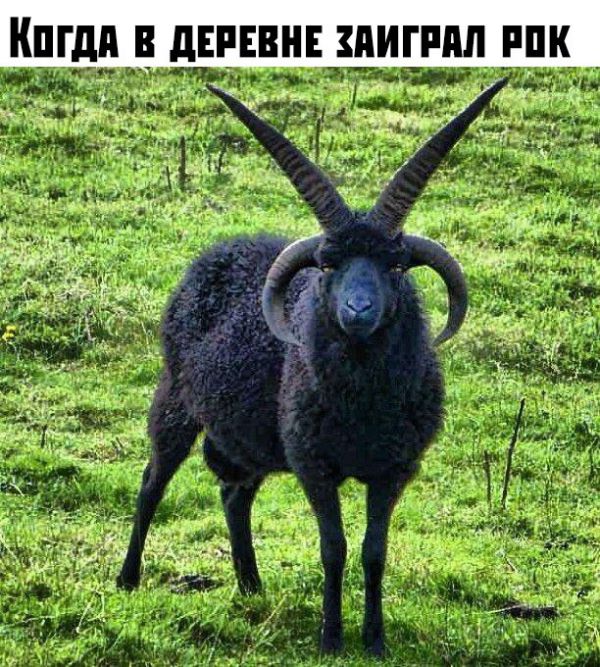 Один шаг и она начнется