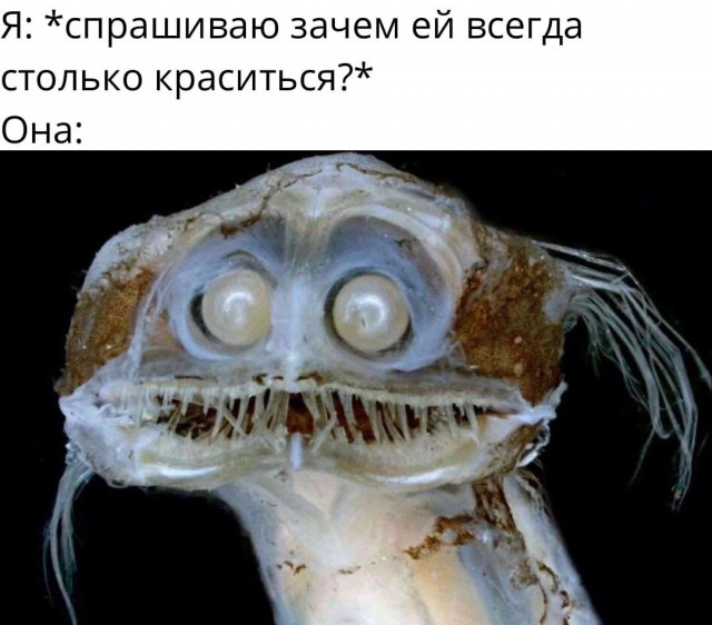 Так себе картинки 09.04.22