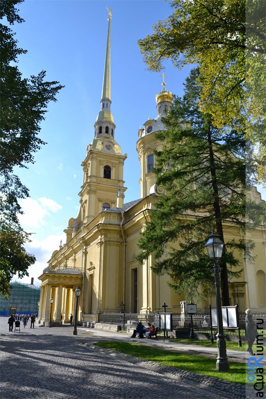 СПб глазами уставшего туриста...