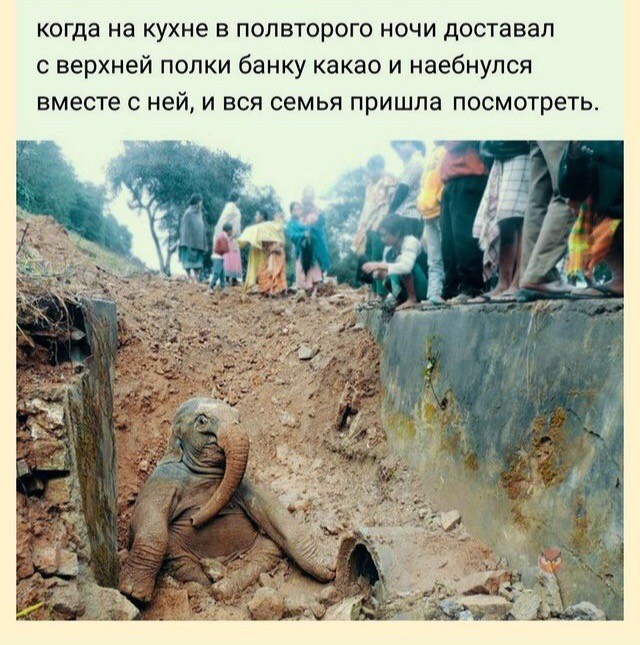 Баянисто-небаянистый юмор 18.08.22