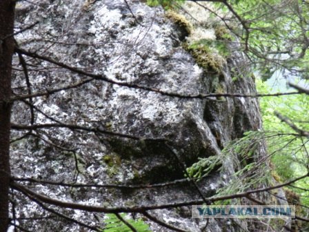 Деревня в которой я живу