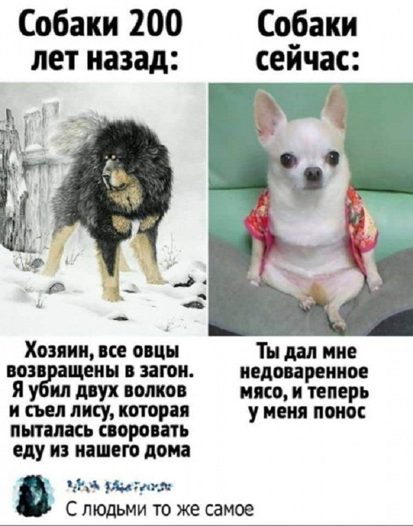 Прикольные и просто красивые картинки 05.09.2022