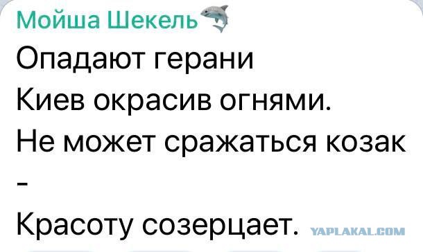 ПЗРК vs шахид мопед