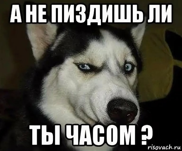 https://s00.yaplakal.com/pics/pics_original/4/7/1/17455174.jpg