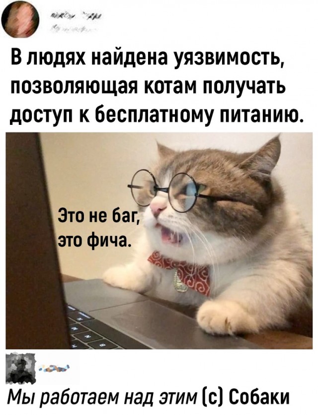 Картинки и мемы, выходные продолжаются
