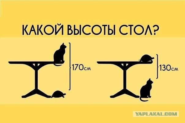 Картинки и мемы, всем хороших выходных