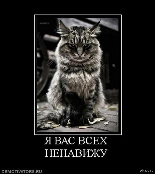 Страшный "вареник"
