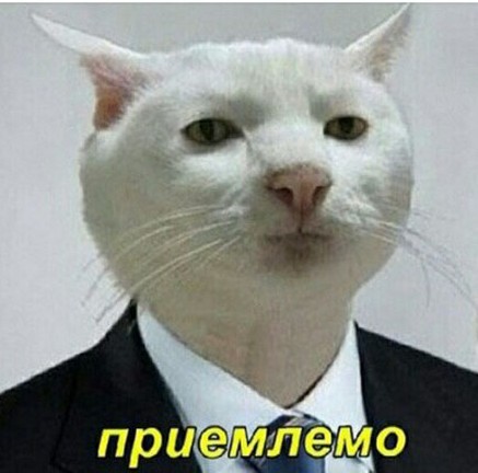 «Киппымчо», секретная бригада из 2000 женщин для обслуживания высших офицеров Северной Кореи