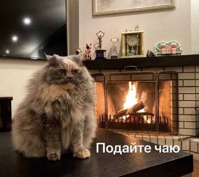 Нуштош 28.02.23