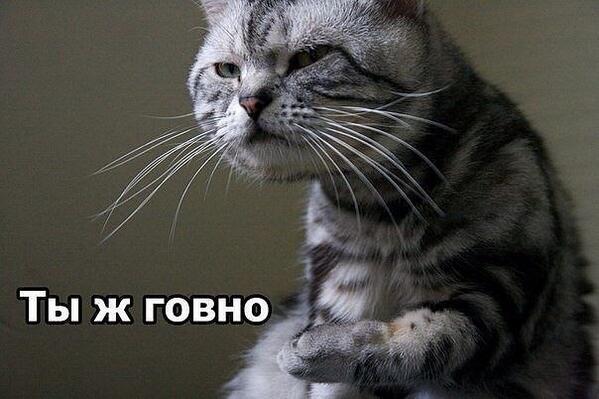 Ваш ум - это не ваш ум