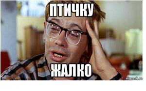 Захватывающие кадры охоты орла на гуся
