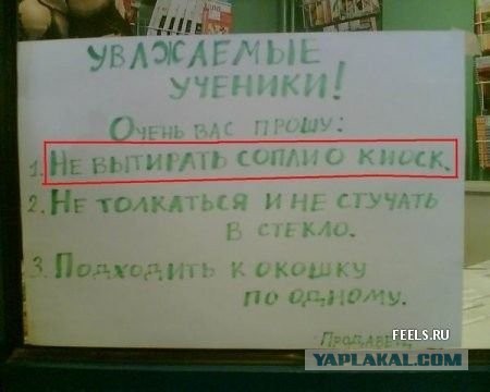 Якась скотина