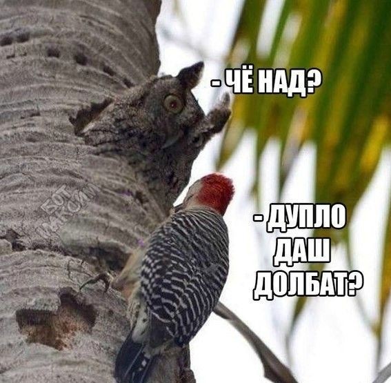 Как быть мужьям, чьи жены - "непьющие алкоголички"?⁠⁠
