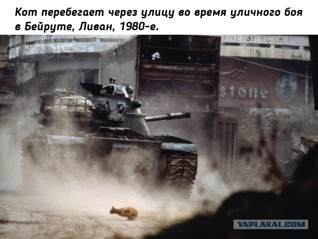 Небольшая подборка исторических фото (20.12)