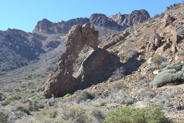 Хочу дачу на канарах!