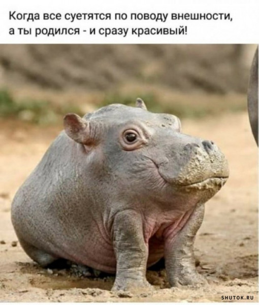 Всех с понедельником