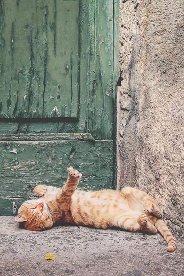 Фотографии разные
