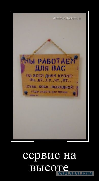 55 демотиваторов опять