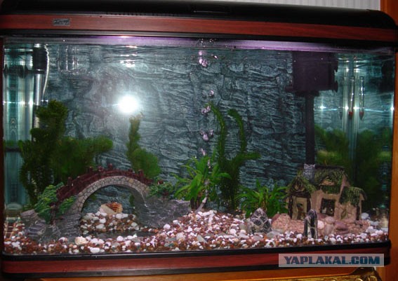 Самодельный аквариумный декор