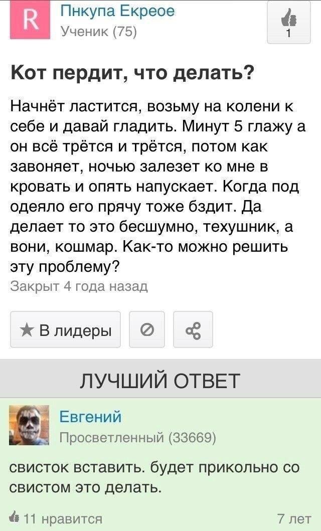 Всего понемногу. От 19.09.24
