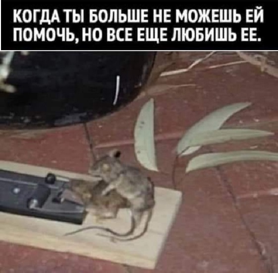 Картинки разные с надписями и без