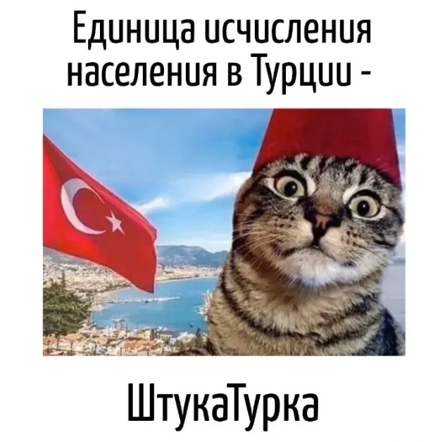 Так себе картинки 11.05.25