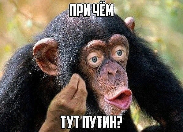 Тайный форум о мигрантах: Россию представляли знакомые лица. Круг предателей замкнулся