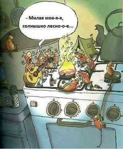 Картинки для деградации -2 (разной степени свежести)