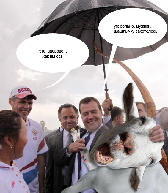 Стрелок