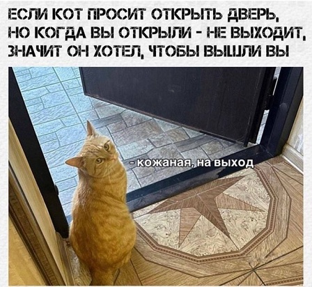 Дело житейское