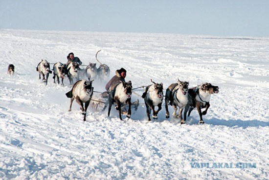 Деревенская Америка