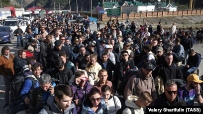 Почему тараканы исчезли из домов в 2000-х и почему они возвращаются сейчас