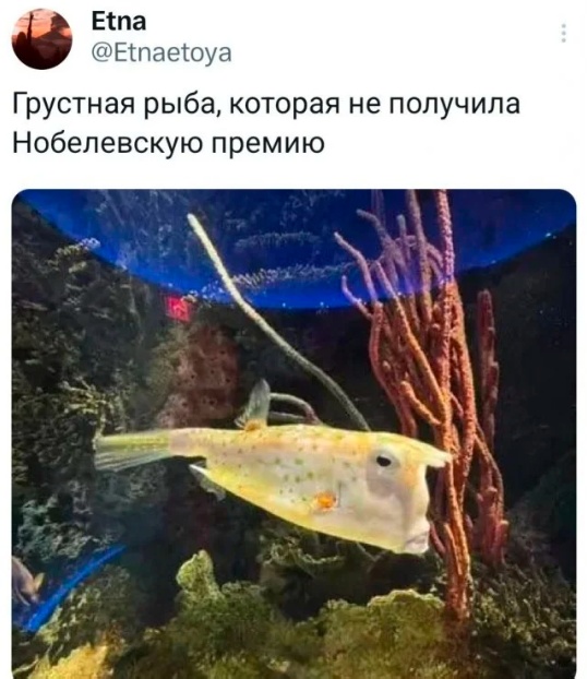 Картинки для деградации 73 (разной степени свежести)