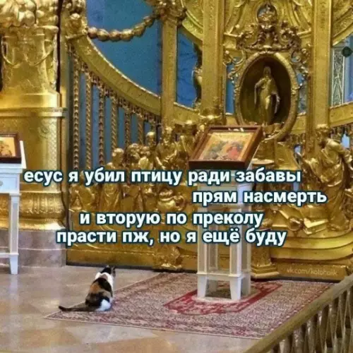 Картинки для деградации 77 (разной степени свежести)