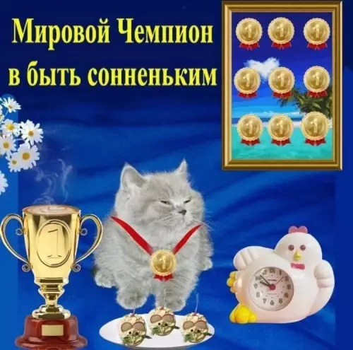 Картиночки, баянчики 04 марта