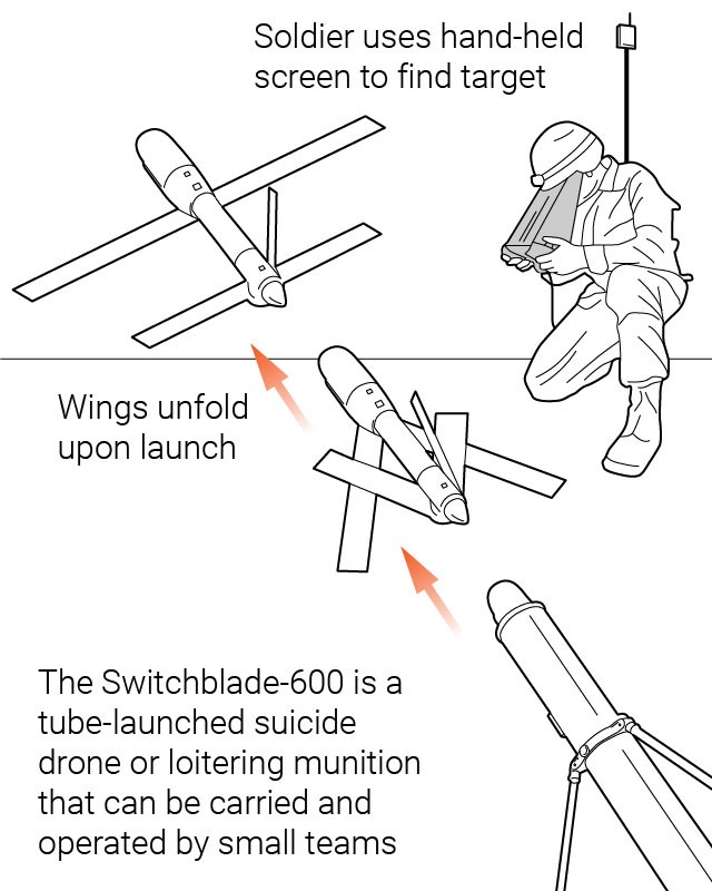 Обзор барражирующего боеприпаса Switchblade 600