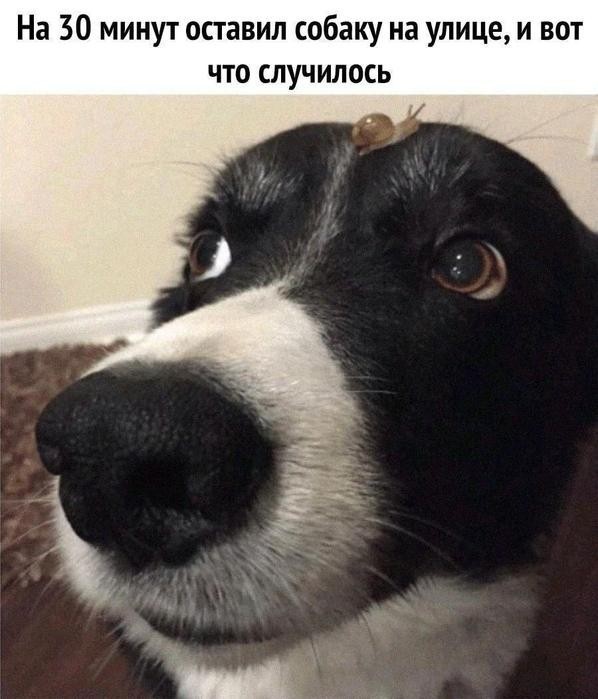 Картинки для деградации 197 (разной степени свежести)