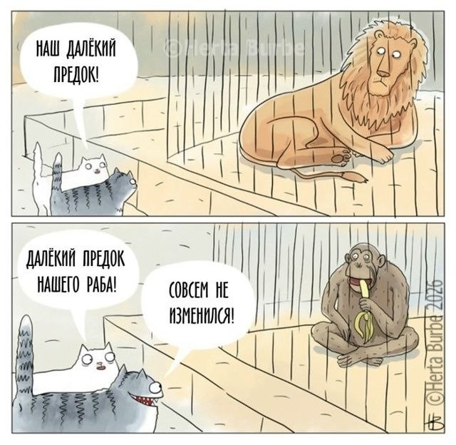 Картинки для деградации 201 (разной степени свежести)