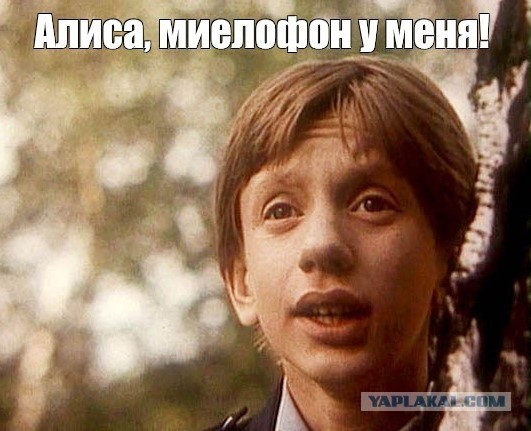 Продолжают снимать гавно