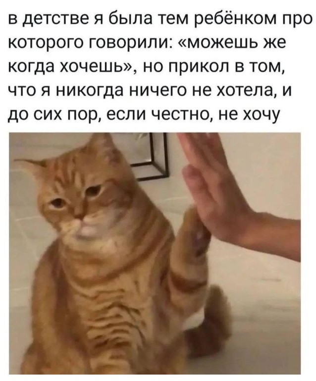 Картинки для деградации 223 (разной степени свежести)