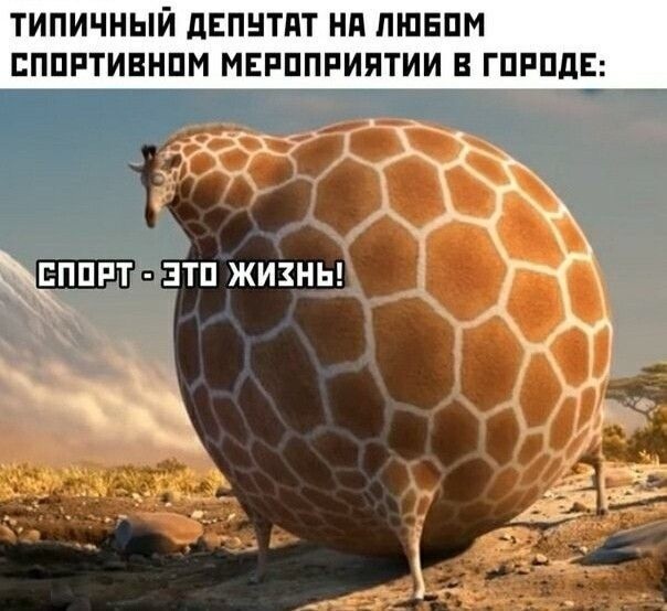 Картинки для деградации 243 (разной степени свежести)