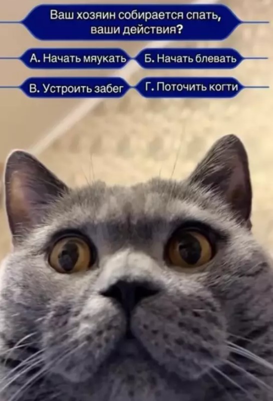 Картиночки, баянчики 25 июля