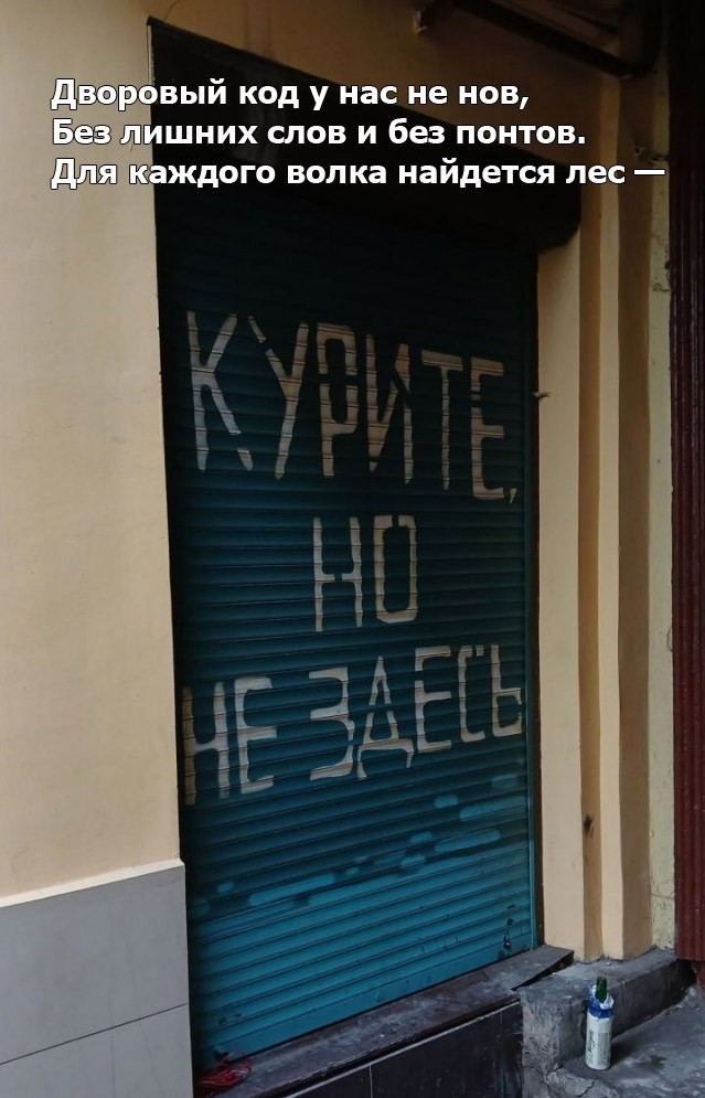Картинки для деградации 295 (разной степени свежести)