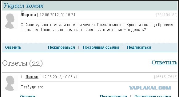 Смешные комментарии из социальных сетей