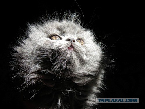 Любимые фотографии